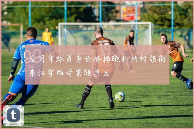 合同年球员身价榜揭晓科纳特领衔弗拉霍维奇紧随其后